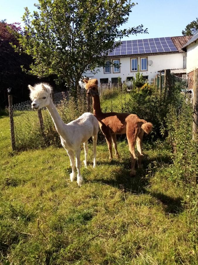 Herzfennerhof Mobilheim Leilighet Auw bei Prum Eksteriør bilde
